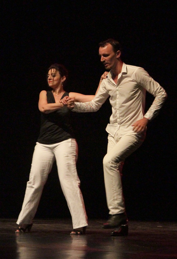 Spectacle 2015 ARTDANSES Spectacle 2015 ARTDANSES
